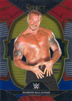 Diamond Dallas Page
