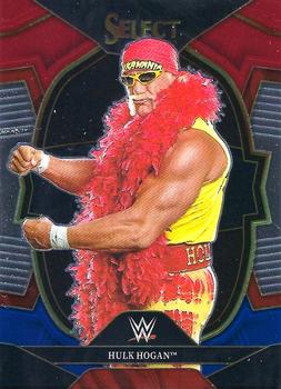 Hulk Hogan