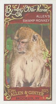 Allen's Swamp Monkey