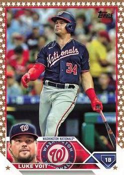 Luke Voit