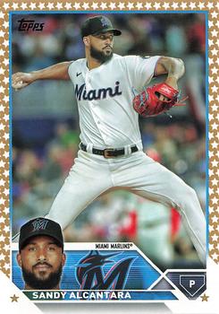 Sandy Alcantara