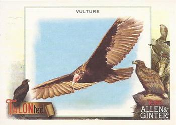 Vulture