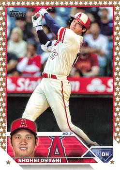 Shohei Ohtani