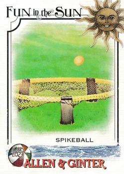 Spikeball