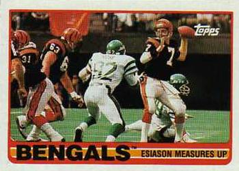 Bengals Team Leaders (Esiason Measures Up)