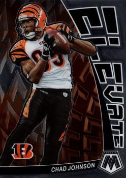 Chad Johnson