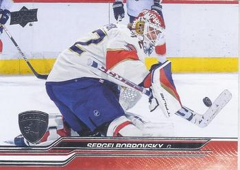 Sergei Bobrovsky