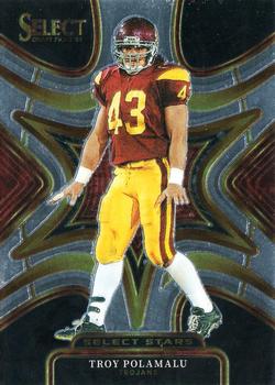 Troy Polamalu