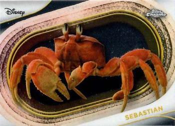 Sebastian