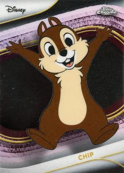 Chip
