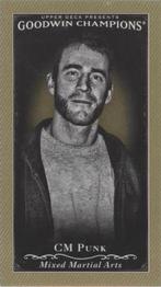 CM Punk
