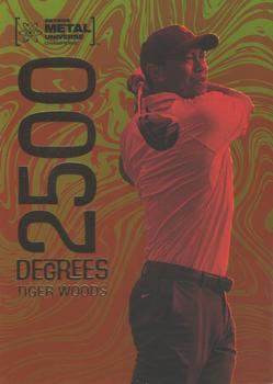 Tiger Woods