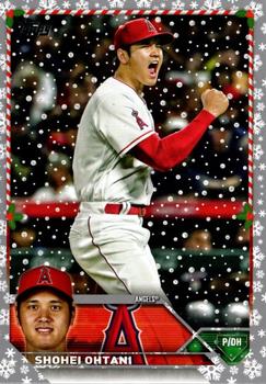 #H17 Shohei Ohtani