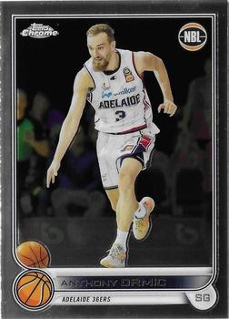 Anthony Drmic