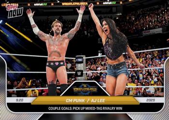 CM Punk / AJ Lee