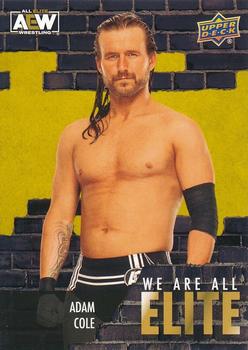 Adam Cole