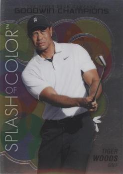 Tiger Woods
