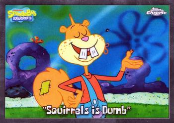 "Squirrels is Dumb"