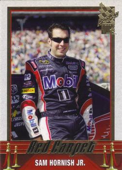 Sam Hornish Jr.