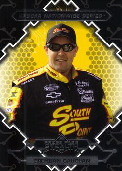 Brendan Gaughan