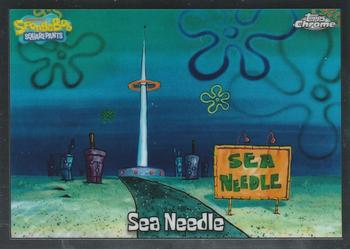 Sea Needle