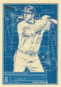Shohei Ohtani