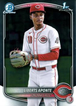 Liberts Aponte