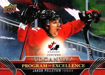Jakob Pelletier