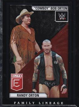 "Cowboy" Bob Orton / Randy Orton