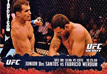 Junior Dos Santos / Fabricio Werdum