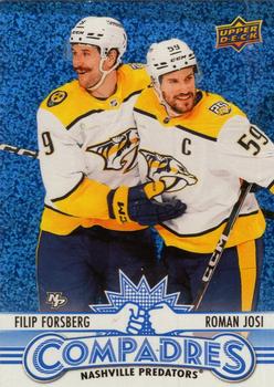 Filip Forsberg / Roman Josi