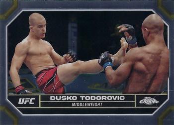 Dusko Todorovic