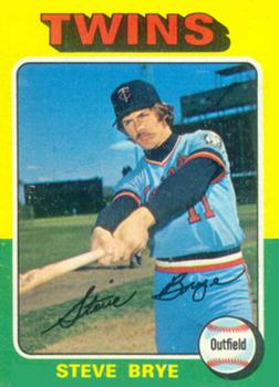 Steve Brye