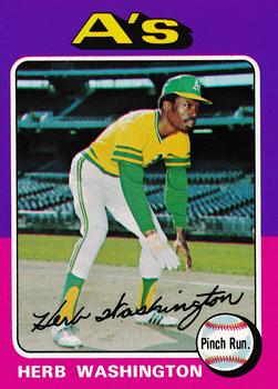 Herb Washington