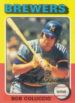 Bob Coluccio