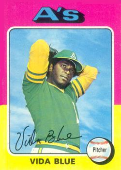 Vida Blue