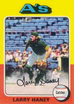 Larry Haney