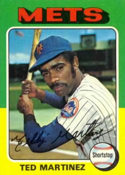 Ted Martinez