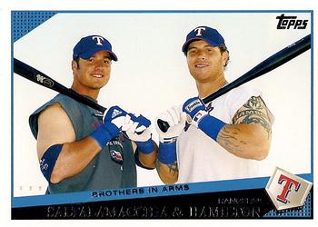 Brothers in Arms (Jarrod Saltalamacchia / Josh Hamilton)