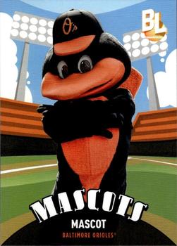Oriole Bird