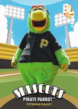 Pirate Parrot