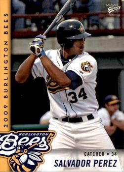 Salvador Perez