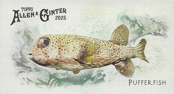 Pufferfish
