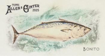 Bonito