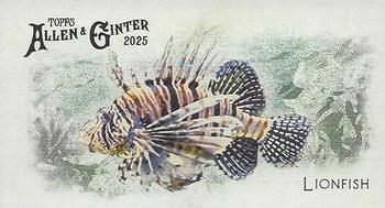 Lionfish
