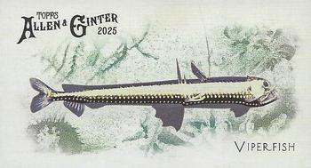 Viperfish
