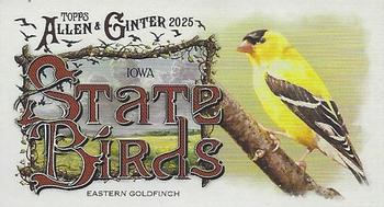 Eastern Goldfinch