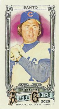 Ron Santo