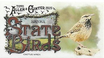 Cactus Wren