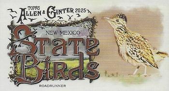 Roadrunner